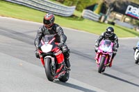 Oulton-Park-21st-March-2020;PJ-Motorsport-Photography-2020;anglesey;brands-hatch;cadwell-park;croft;donington-park;enduro-digital-images;event-digital-images;eventdigitalimages;mallory;no-limits;oulton-park;peter-wileman-photography;racing-digital-images;silverstone;snetterton;trackday-digital-images;trackday-photos;vmcc-banbury-run;welsh-2-day-enduro